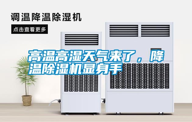 高温高湿天气来了,降温除湿机显身手