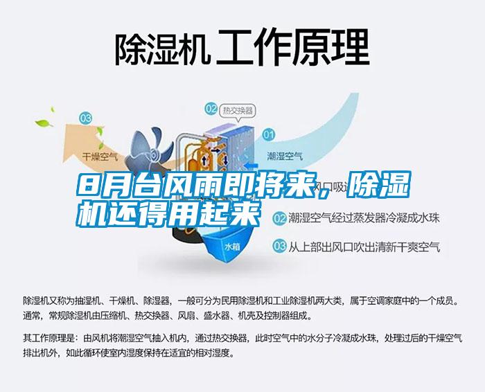 8月台风雨即将来，除湿机还得用起来