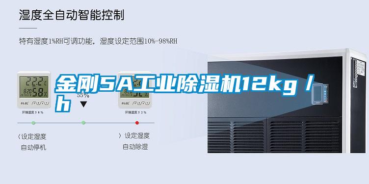 金刚5A工业除湿机12kg／h