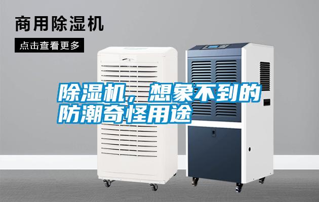 除湿机，想象不到的防潮奇怪用途