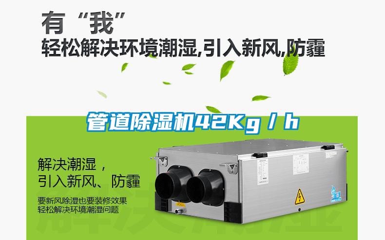 管道除湿机42Kg／h