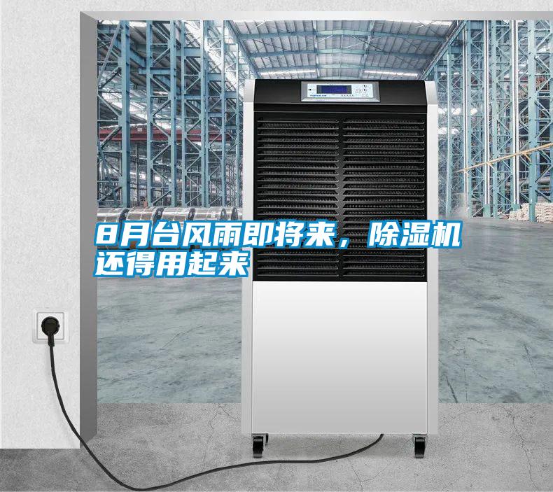 8月台风雨即将来，除湿机还得用起来