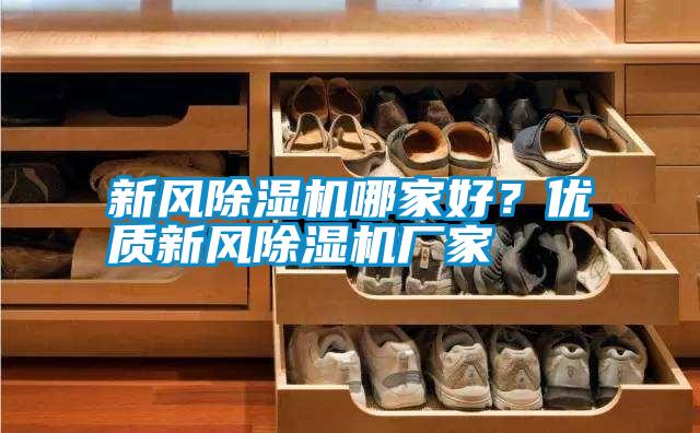 新风除湿机哪家好？优质新风除湿机厂家