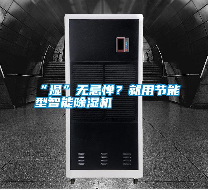 “湿”无忌惮？就用节能型智能除湿机