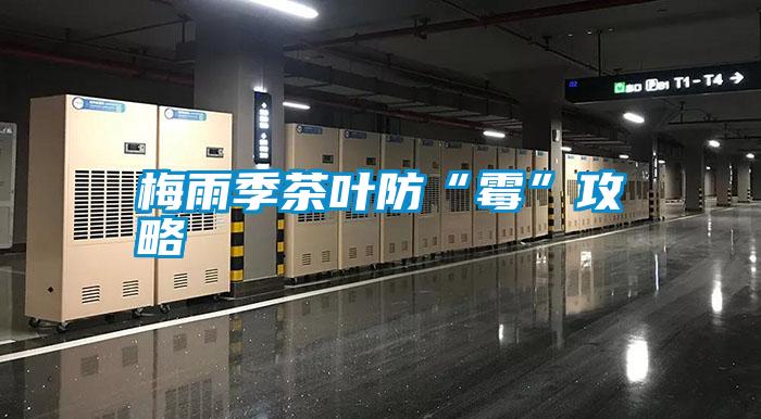 梅雨季茶叶防“霉”攻略