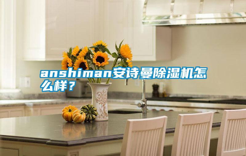 anshiman安诗曼除湿机怎么样？