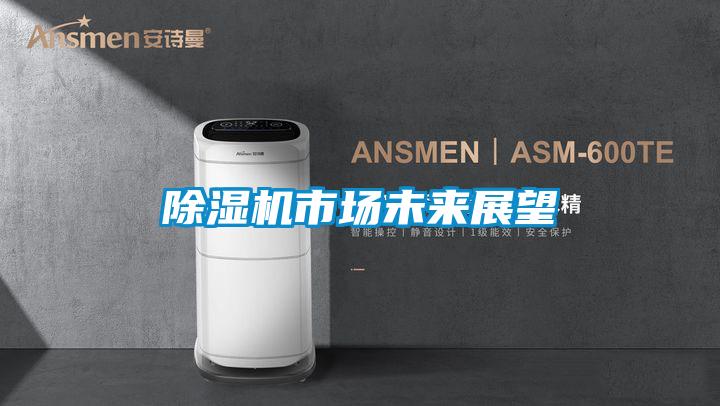 除湿机市场未来展望