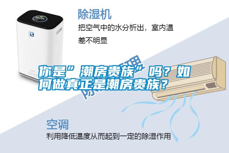 你是”潮房贵族”吗？如何做真正是潮房贵族？