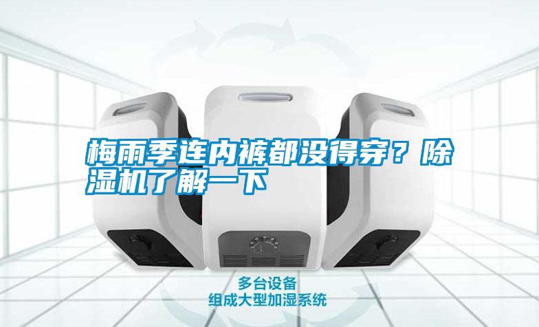 梅雨季连内裤都没得穿？除湿机了解一下