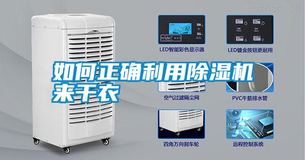 如何正确利用除湿机来干衣