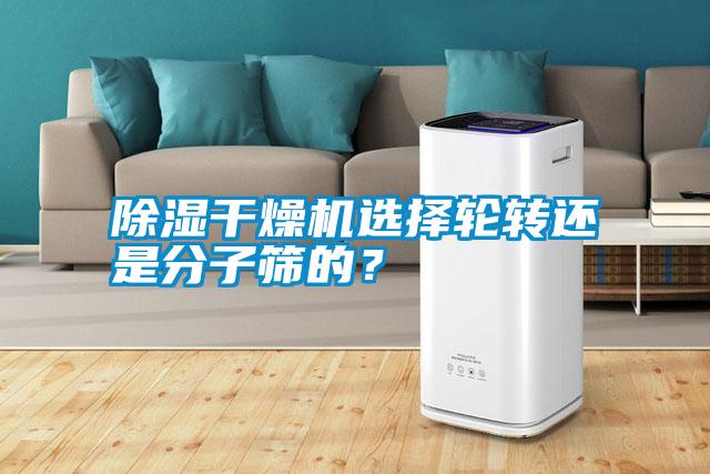 除湿干燥机选择轮转还是分子筛的？