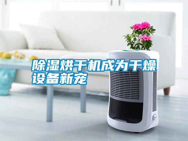 除湿烘干机成为干燥设备新宠