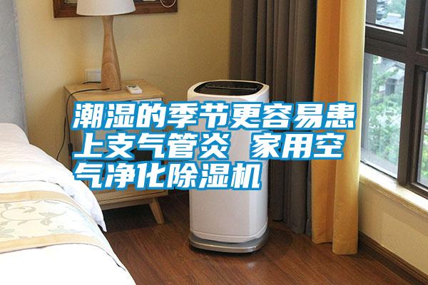 潮湿的季节更容易患上支气管炎 家用空气净化除湿机