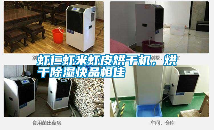 虾仁虾米虾皮烘干机，烘干除湿快品相佳