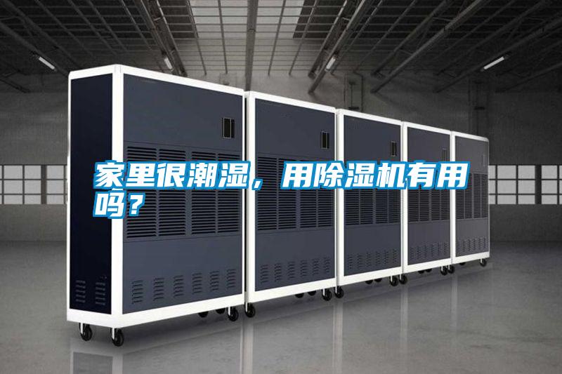 家里很潮湿,用除湿机有用吗?