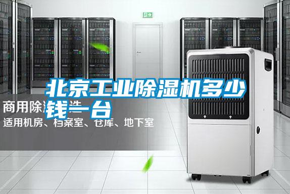 北京工业除湿机多少钱一台