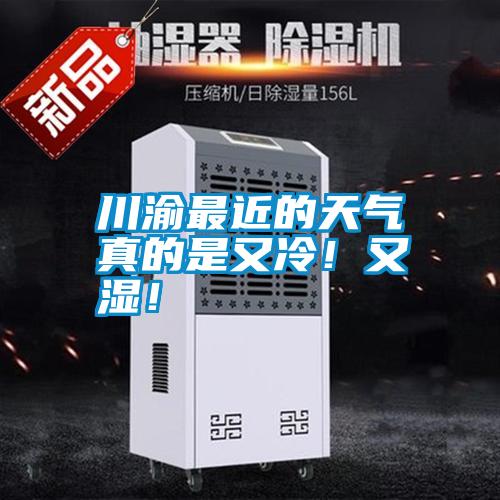 川渝最近的天气真的是又冷！又湿！