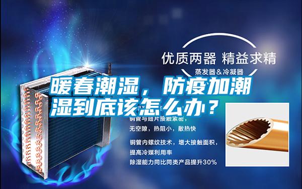 暖春潮湿，防疫加潮湿到底该怎么办？