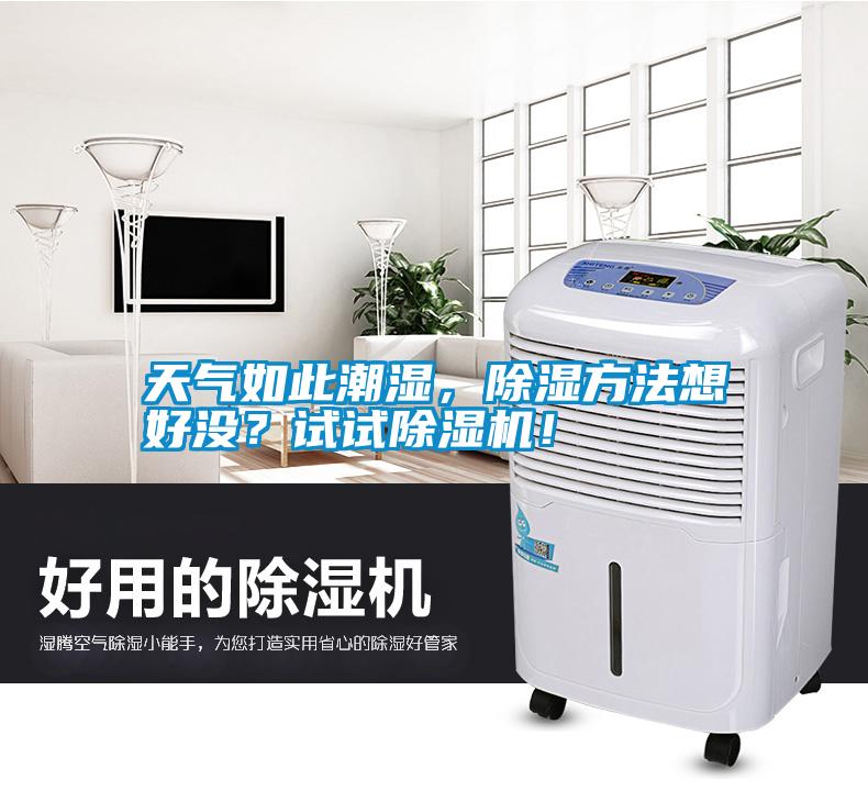 天气如此潮湿，除湿方法想好没？试试除湿机！