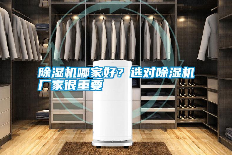除湿机哪家好？选对除湿机厂家很重要