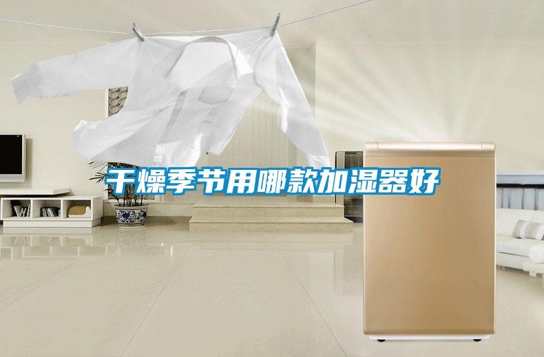 干燥季节用哪款加湿器好