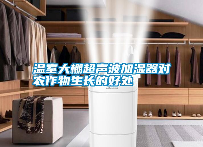 温室大棚超声波加湿器对农作物生长的好处
