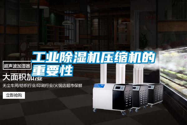 工业除湿机压缩机的重要性