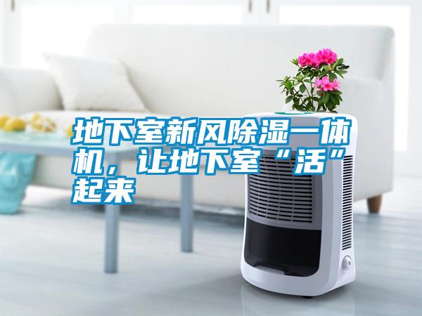 地下室新风除湿一体机，让地下室“活”起来