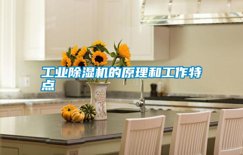 工业除湿机的原理和工作特点