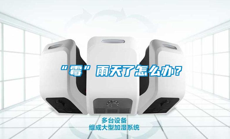 “霉”雨天了怎么办？