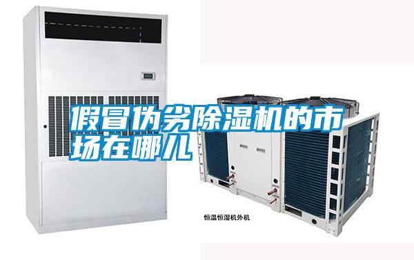 假冒伪劣除湿机的市场在哪儿