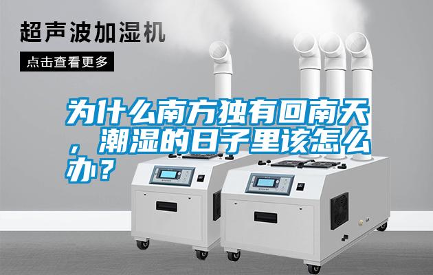 为什么南方独有回南天，潮湿的日子里该怎么办？