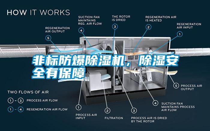 非标防爆除湿机，除湿安全有保障