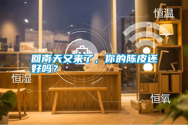 回南天又来了，你的陈皮还好吗？