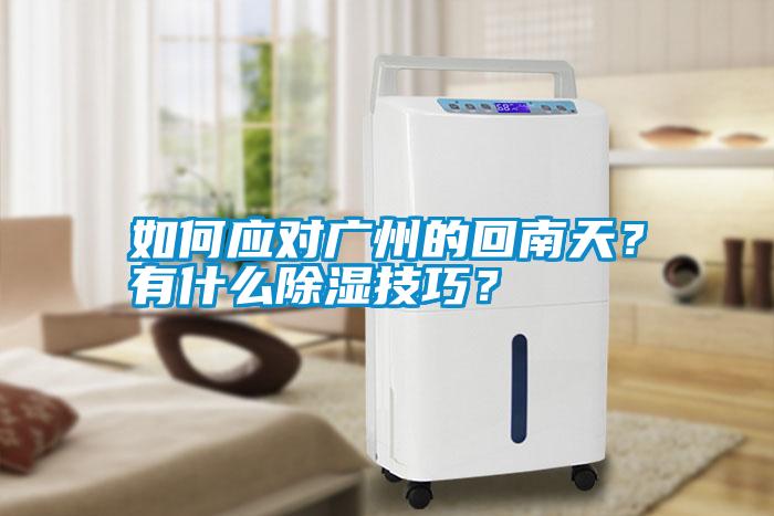 如何应对广州的回南天？有什么除湿技巧？