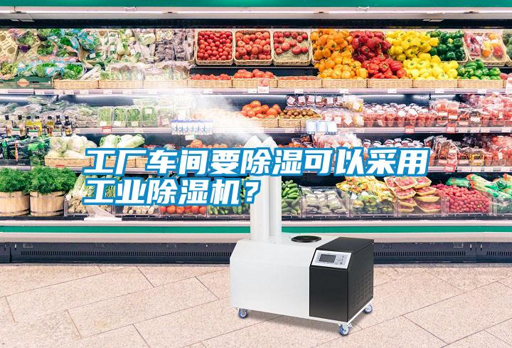 工厂车间要除湿可以采用工业除湿机？