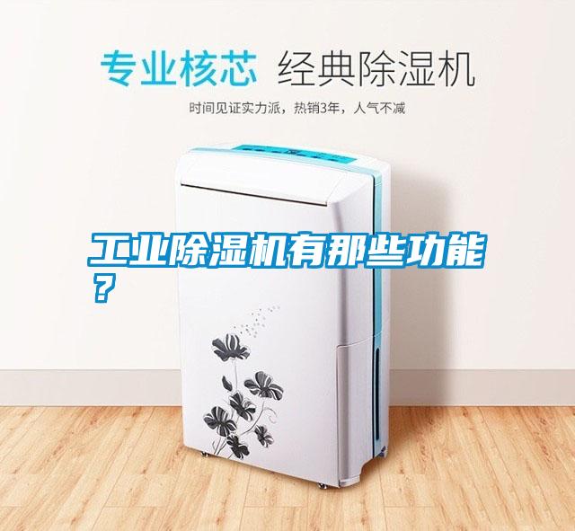 工业除湿机有那些功能？