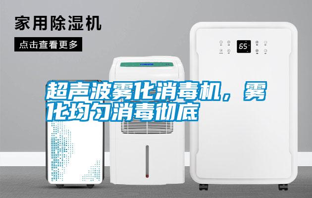 超声波雾化消毒机，雾化均匀消毒彻底