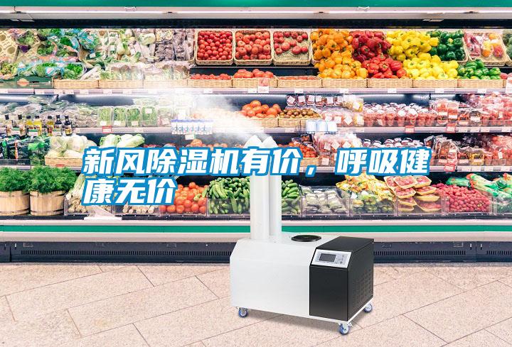 新风除湿机有价，呼吸健康无价