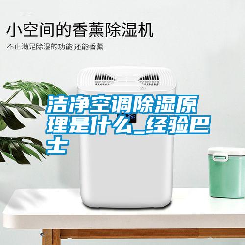 洁净空调除湿原理是什么_经验巴士