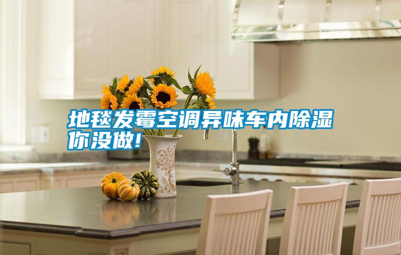 地毯发霉空调异味车内除湿你没做!
