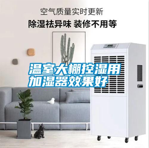 温室大棚控湿用加湿器效果好