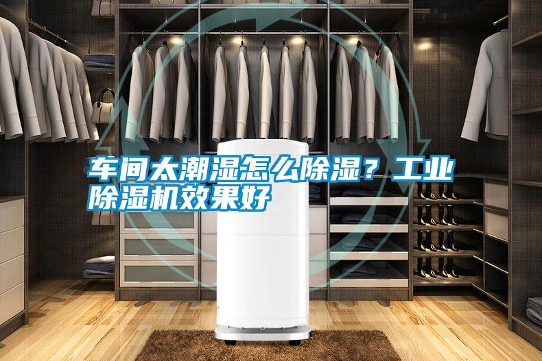 车间太潮湿怎么除湿？工业除湿机效果好