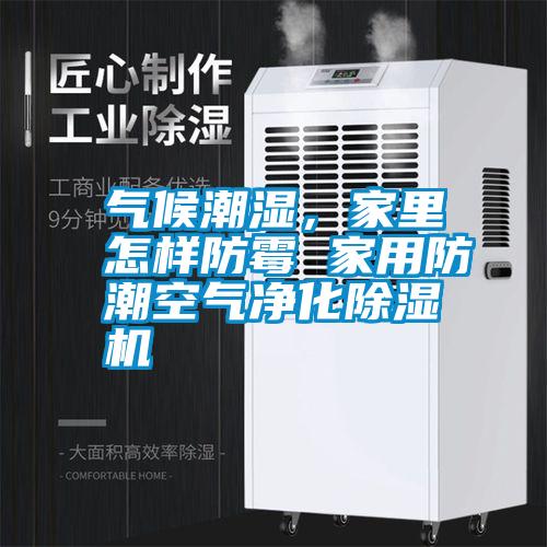 气候潮湿，家里怎样防霉 家用防潮空气净化除湿机