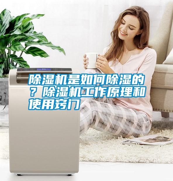 除湿机是如何除湿的？除湿机工作原理和使用窍门