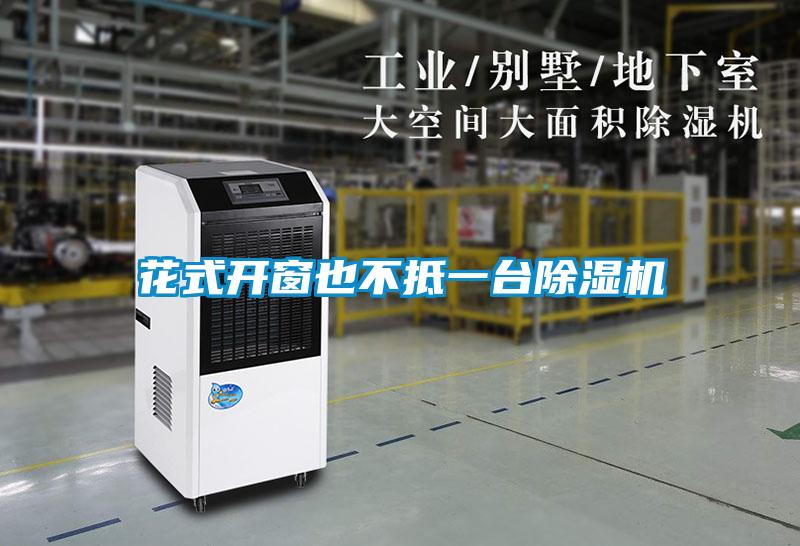 花式开窗也不抵一台除湿机