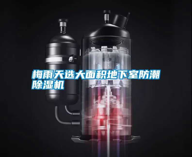 梅雨天选大面积地下室防潮除湿机