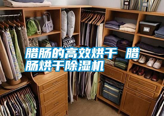 腊肠的高效烘干 腊肠烘干除湿机