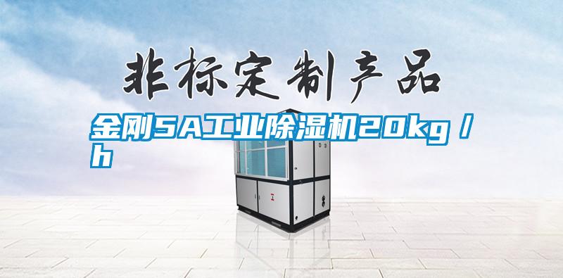 金刚5A工业除湿机20kg／h