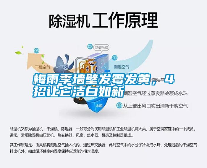 梅雨季墙壁发霉发黄，4招让它洁白如新